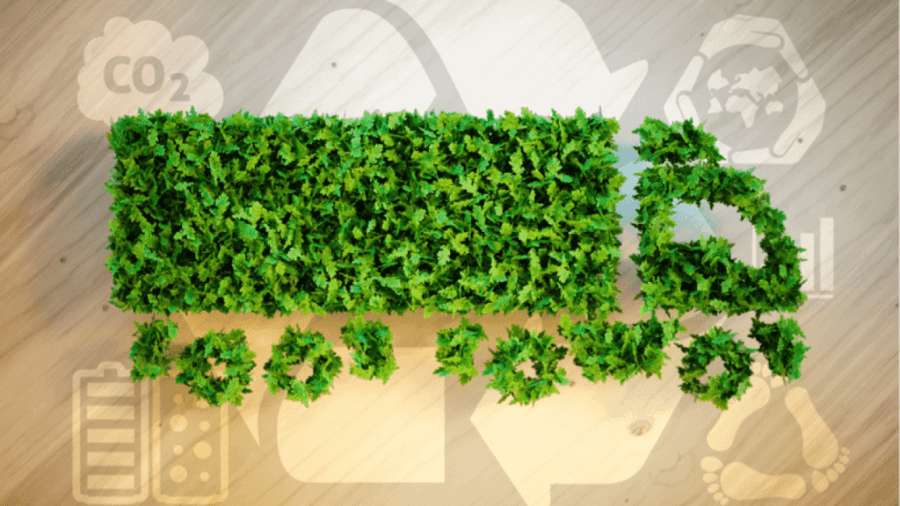 Truck installment on a wall made from foliage to represent environmental sustainability in third party logistics.